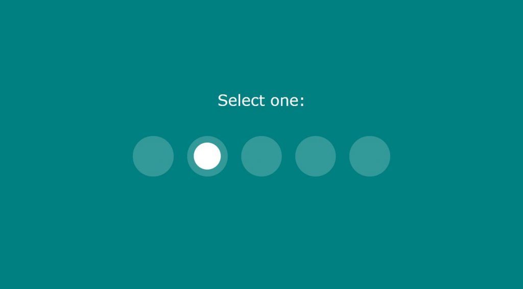 CSS Only Input Type Radio Select Concept 