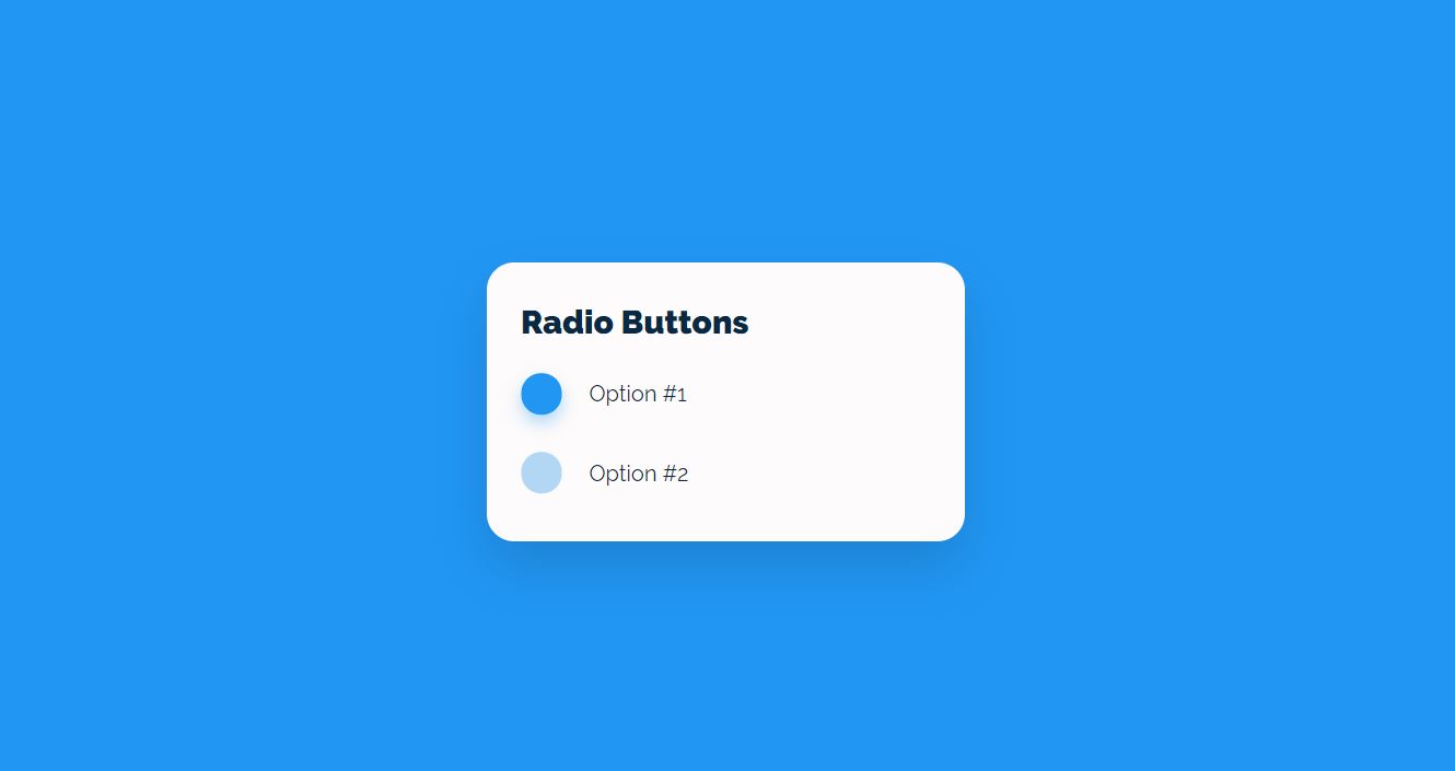 Radio Button CSS Styles Examples