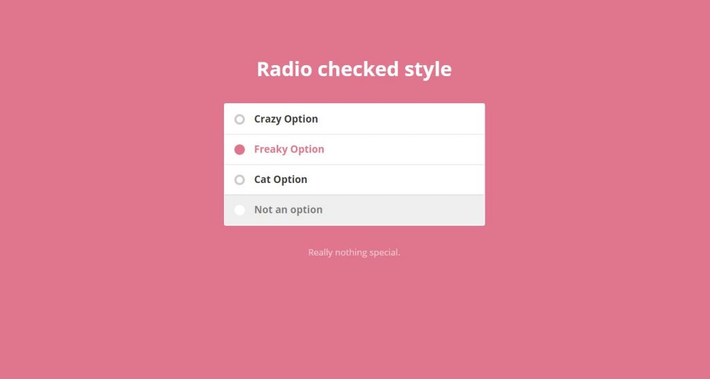example of custom input type radio button of different style and checkboxes which displays checked symbol using HTML, CSS and Javascipt. 
