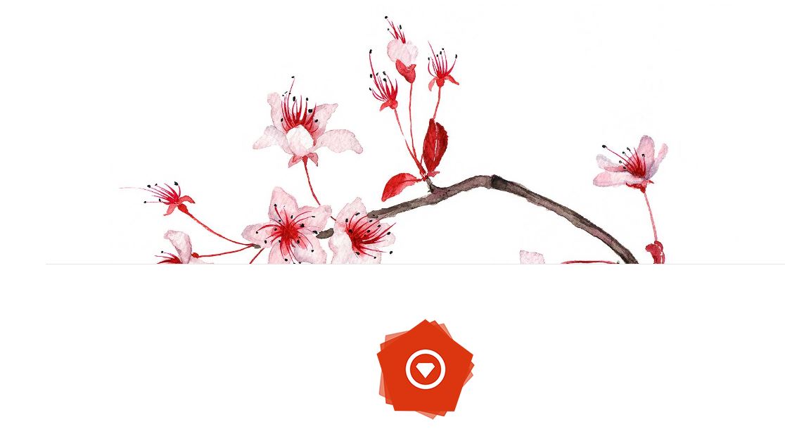 Hanami - The Web, With Simplicity